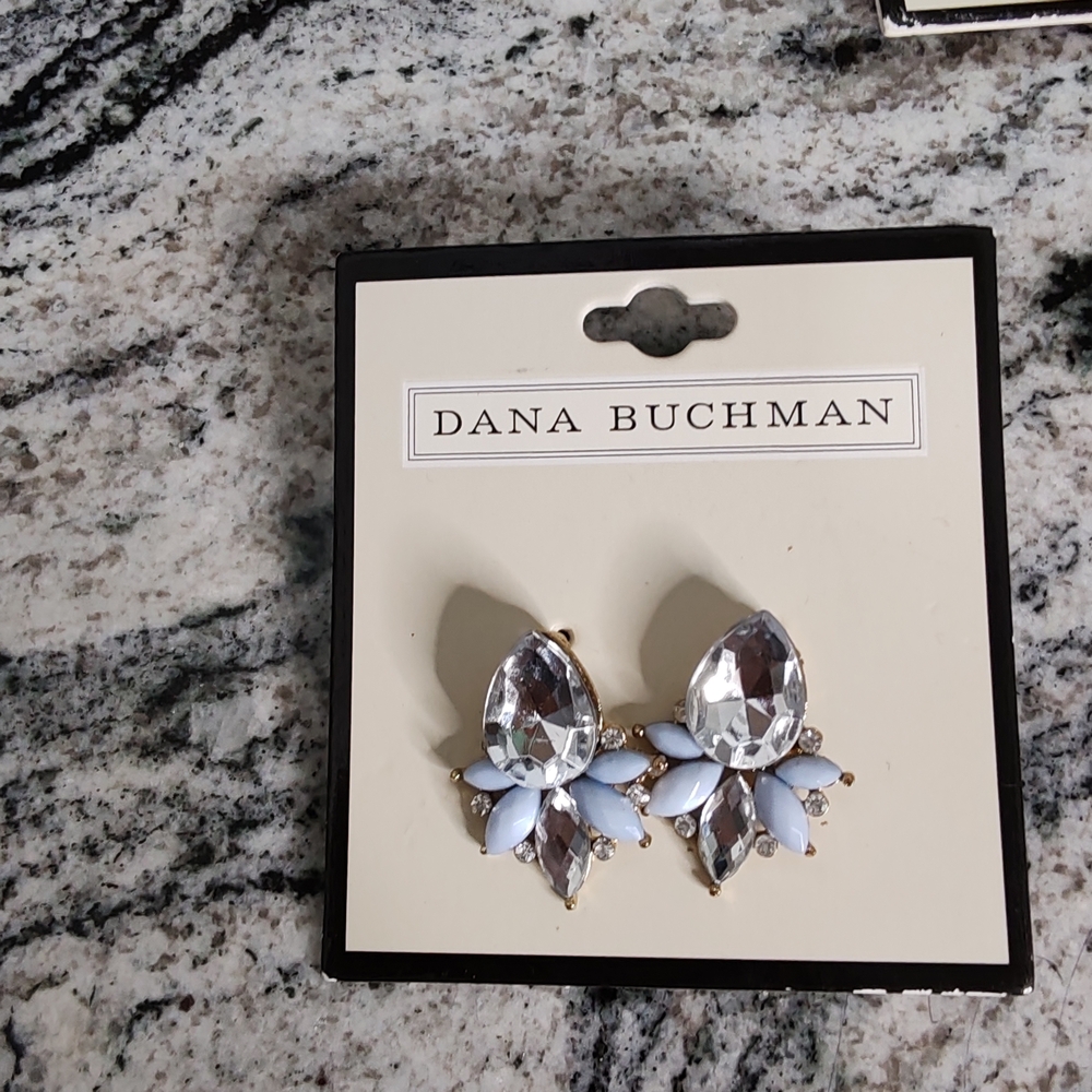 Dana Buchman Crystal and Blue Earrings